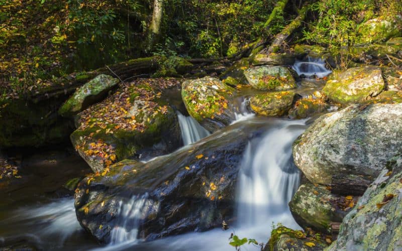 Unicoi State Park Georgia