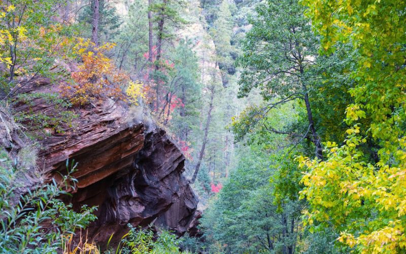 West Fork Trail Sedona