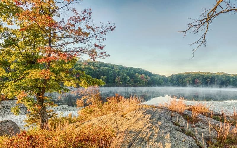 Harriman State Park, New York