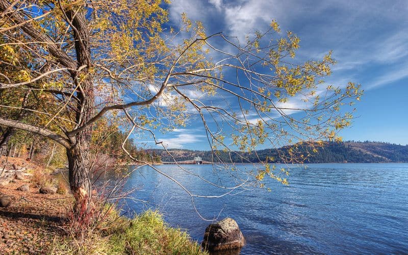 calm Chatcolet lake heyburn state park idaho