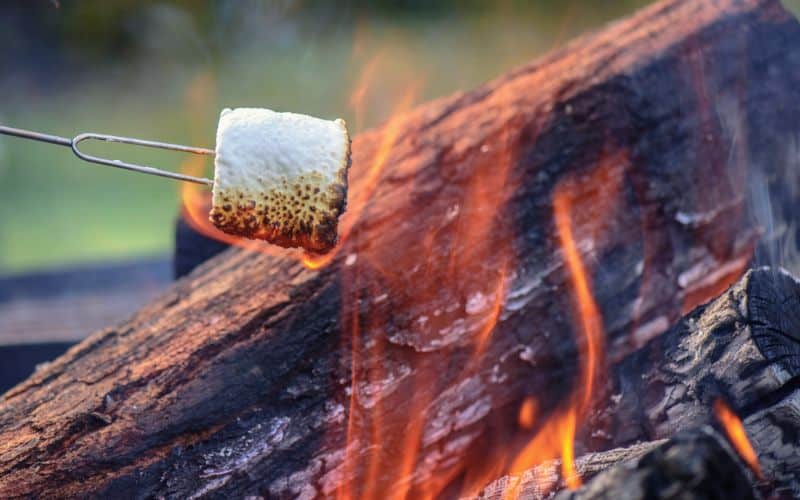 Roasting marshmallows over a campfire