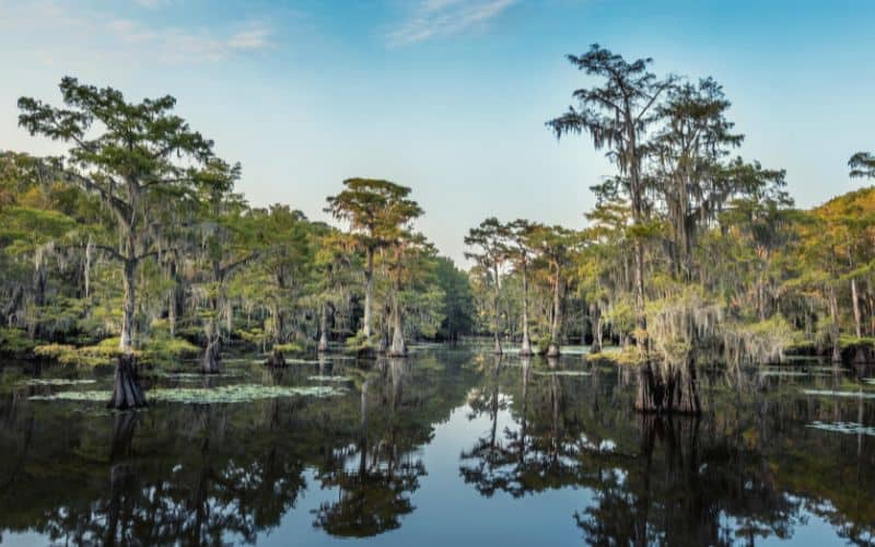 Caddo Lake State Park, Texas