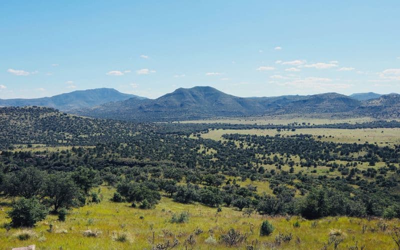 Davis Mountains State Park, Texas