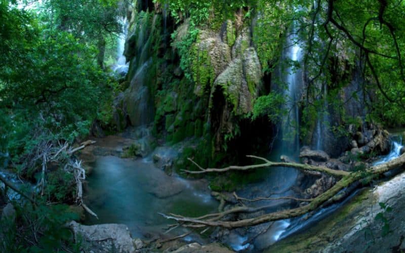 Gorman Falls, Texas