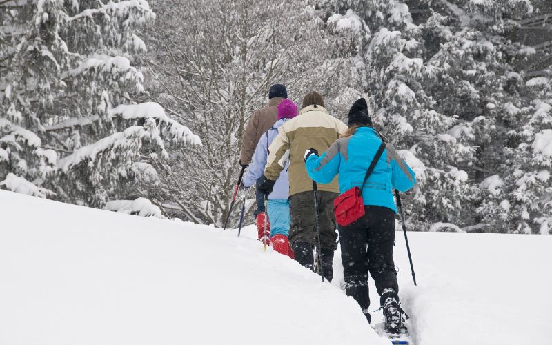 Group of people snowshoeing