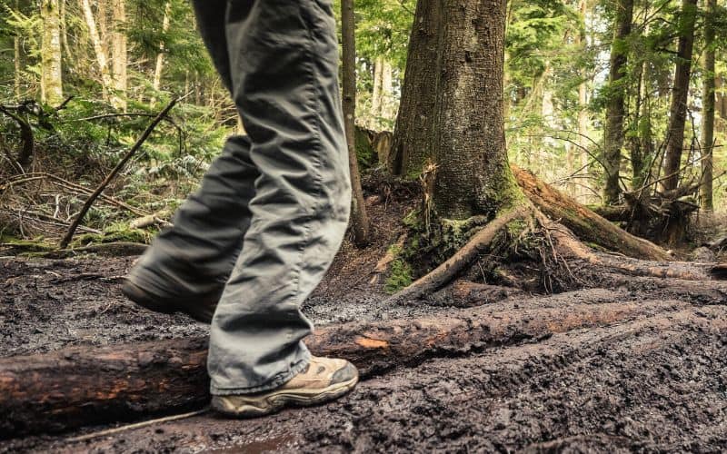 Hiker walking through a muddy forest