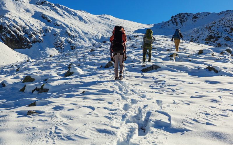 Hikers snowshoeing up a mountain