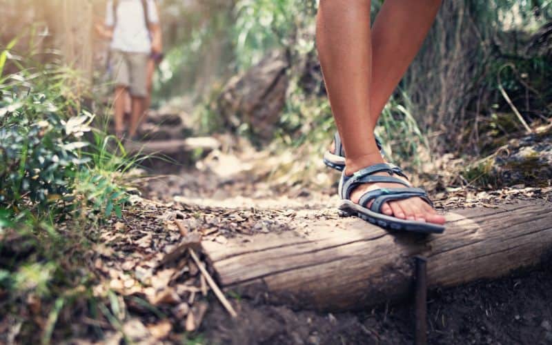 People hiking on a forest path wearing sandals