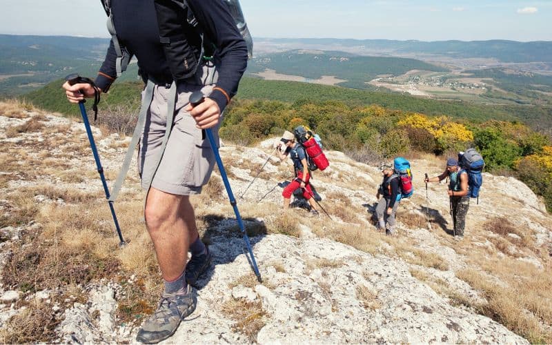 Group of hikers trekking up a hill