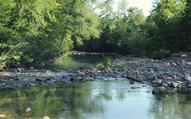 river running through Ouachita National Forest