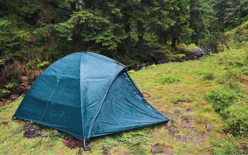 Tent pitched beside forest in rainy conditions