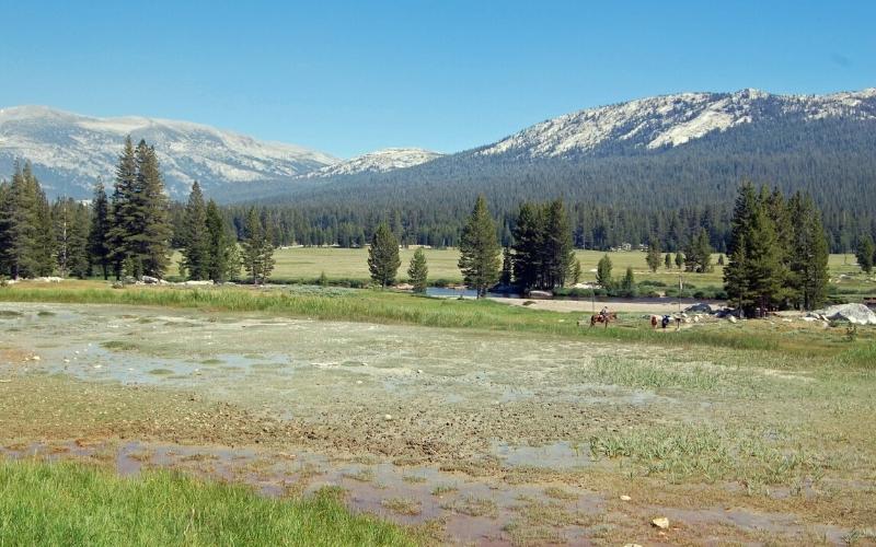 soda springs yosemite
