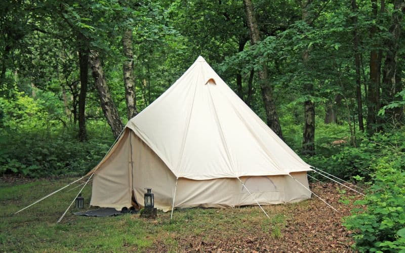 Canvas bell tent pitched in the forest