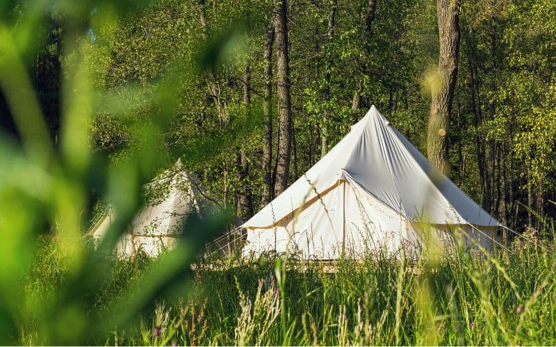 Canvas bell tent through tall grass