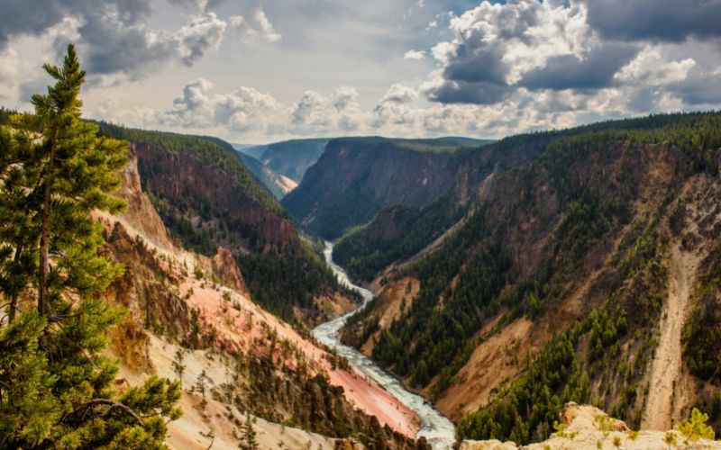 Grand Canyon of the Yellowstone