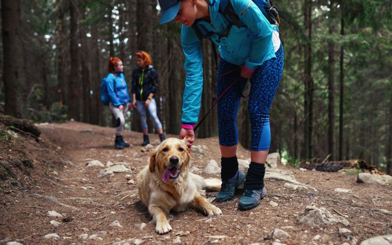 Hiker taking leash off of dog in forested area