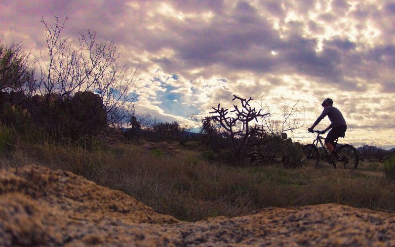 Honey Bee Canyon, Tucson