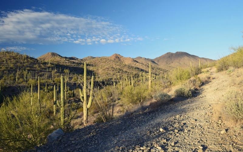 Kings Canyon Trail tucson