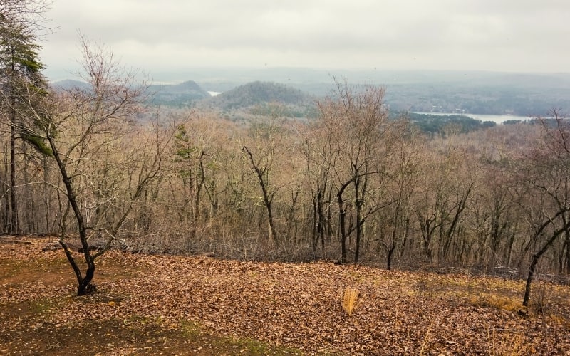 Uwharrie national forest noroth carolina