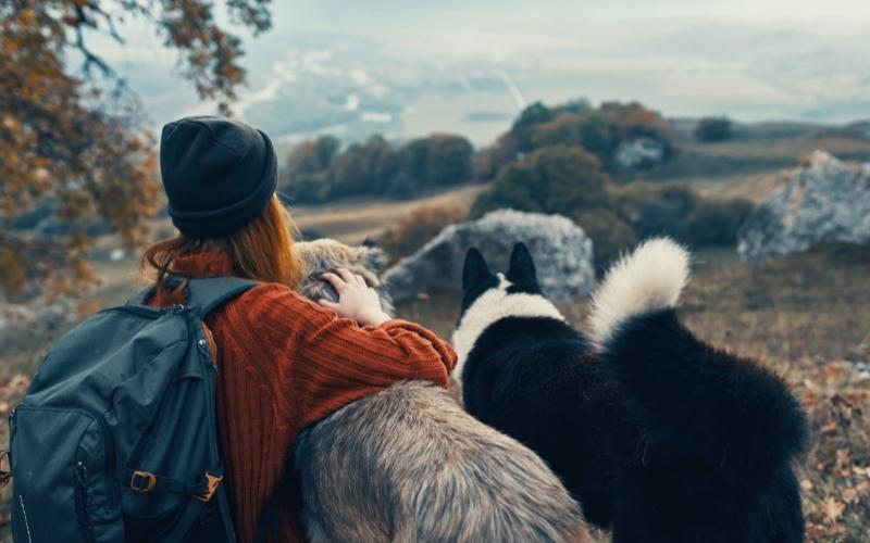 backpacking with a dog featim