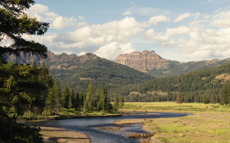 Lamer river flows through Yellowstone national park