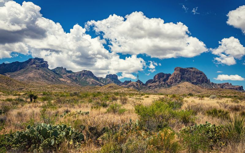 View of the Chisos mountains, Texas