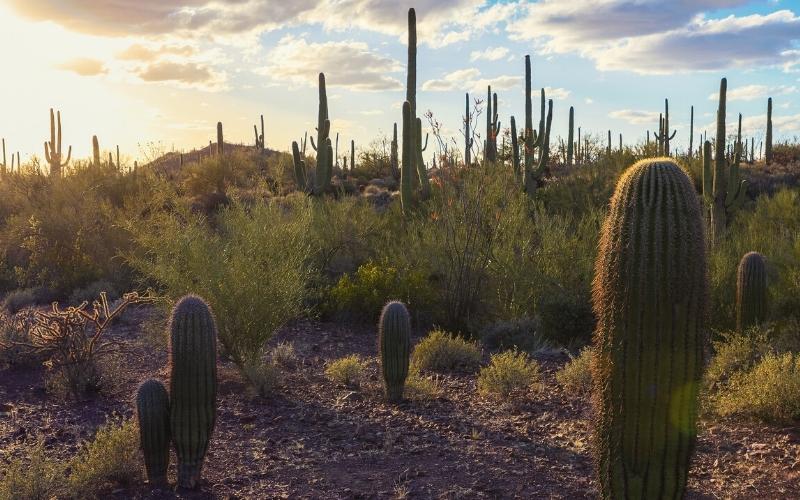 best hikes in tucson featim