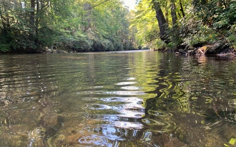 davidson river pisgah national forest north carolina