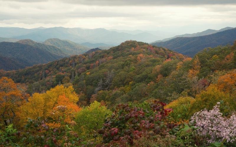 great smoky mountains north carolina