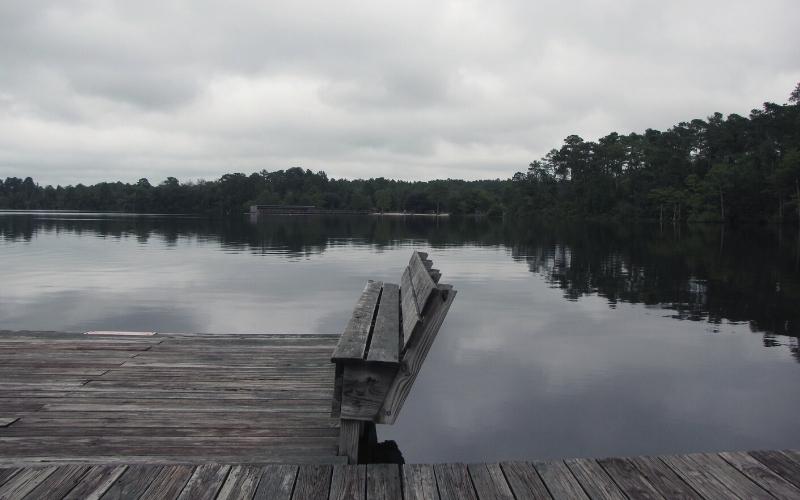 jones lake state park north carolina