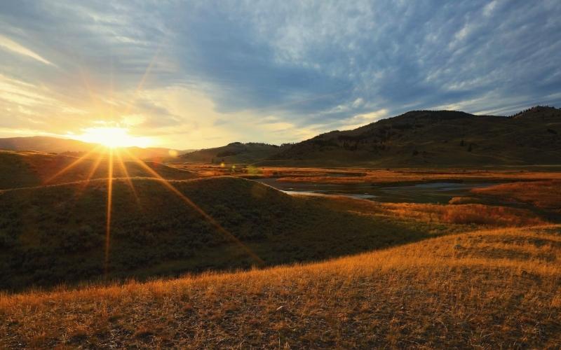 lamar valley yellowstone