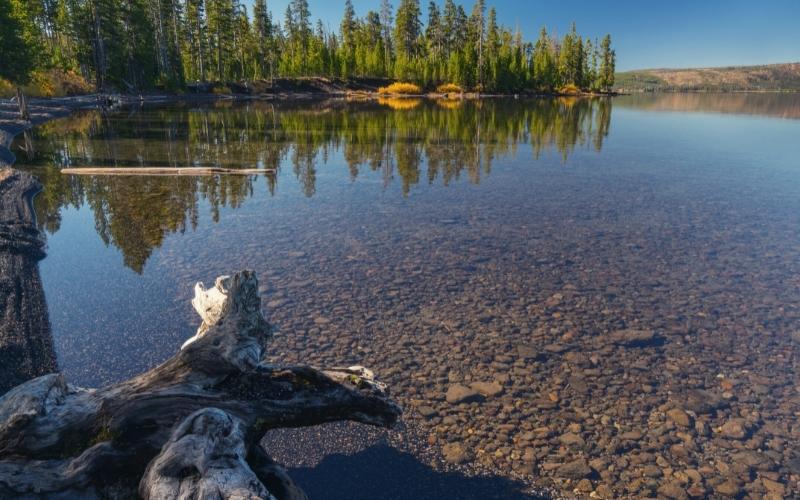 lewis lake yellowstone