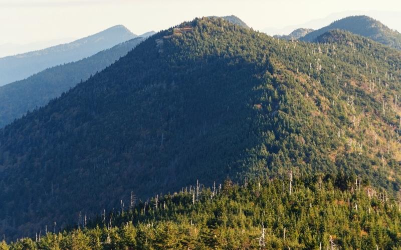 mount mitchell state park