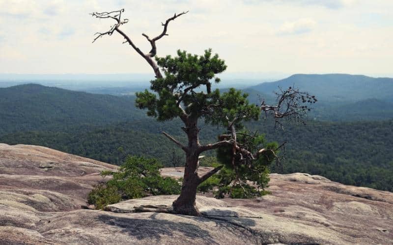 stone mountain state park north carolina