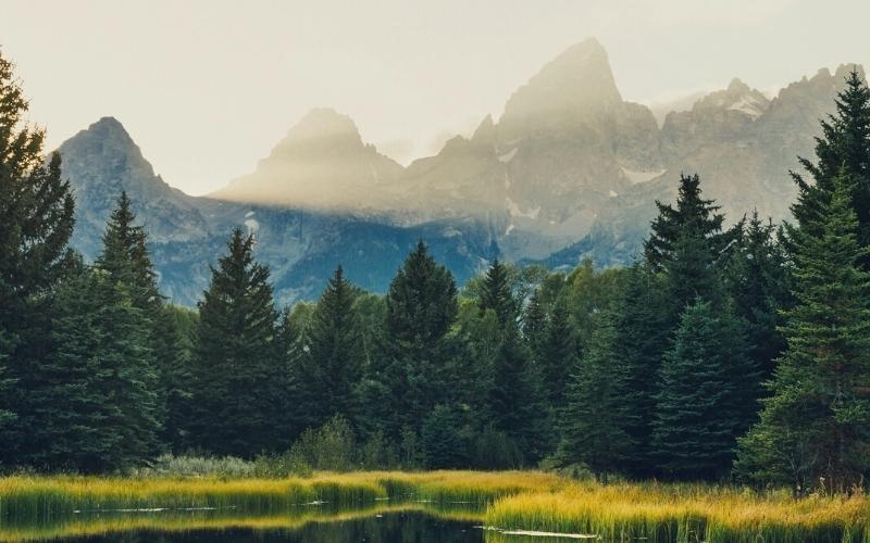 summer grand teton national park wyoming (1)