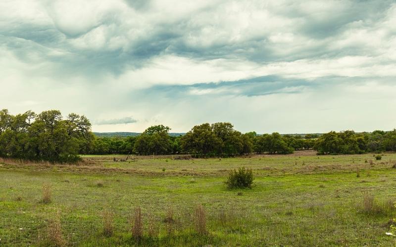 texas hill country view