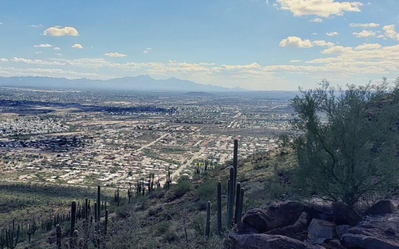 tumamoc hill trail tucson