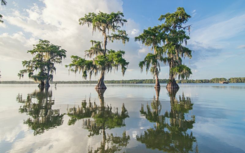 Best Camping In Louisiana - featim