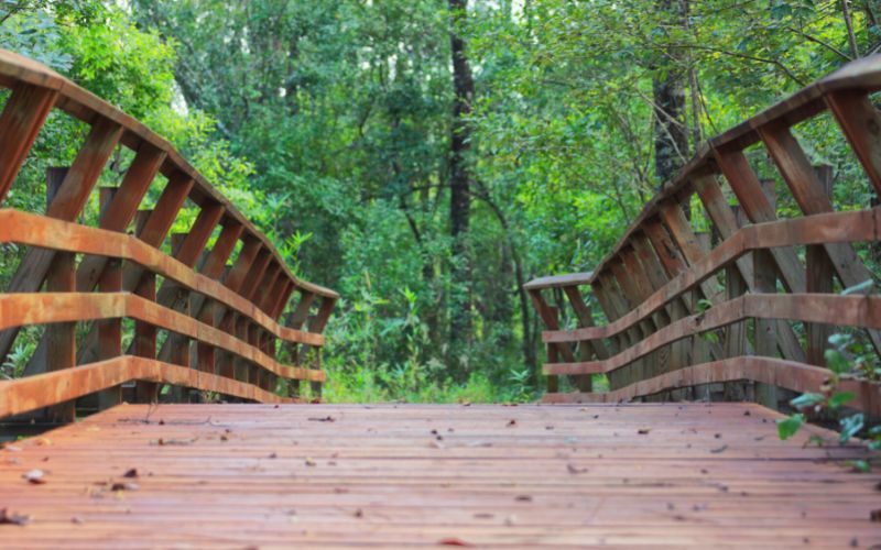 Bridge on a walking trail in Abita Springs