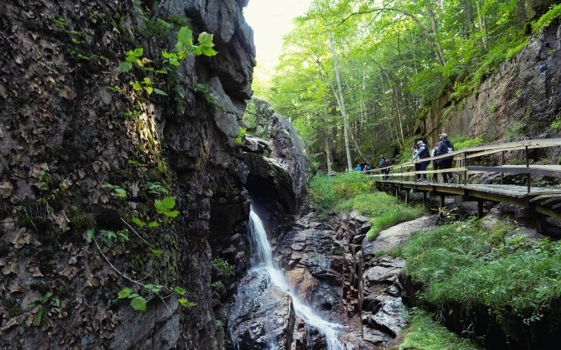 Flume Gorge Trail Franconia Notch State Park New England