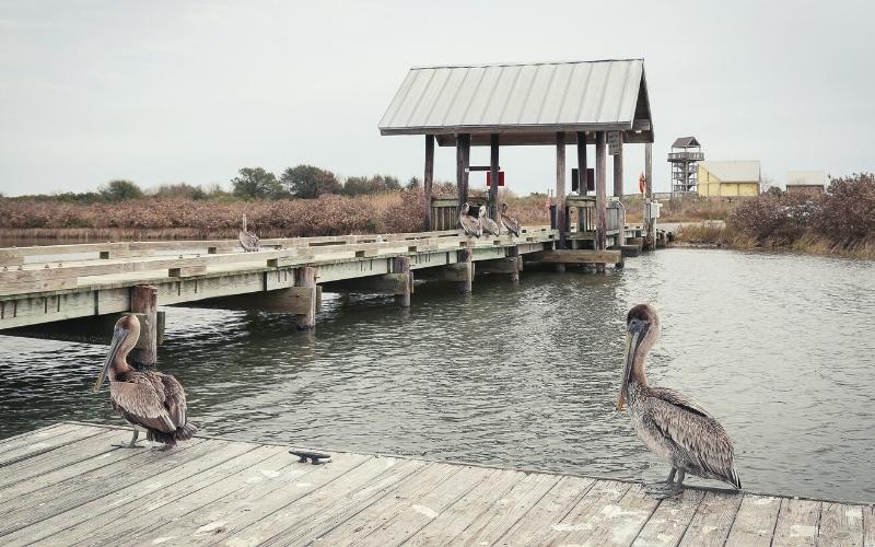 Grand Isle State Park Louisiana