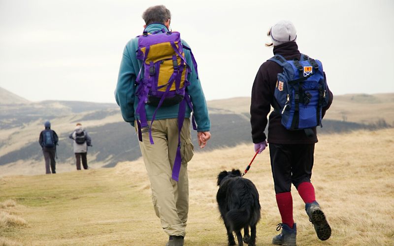 Hillwalking with a dog