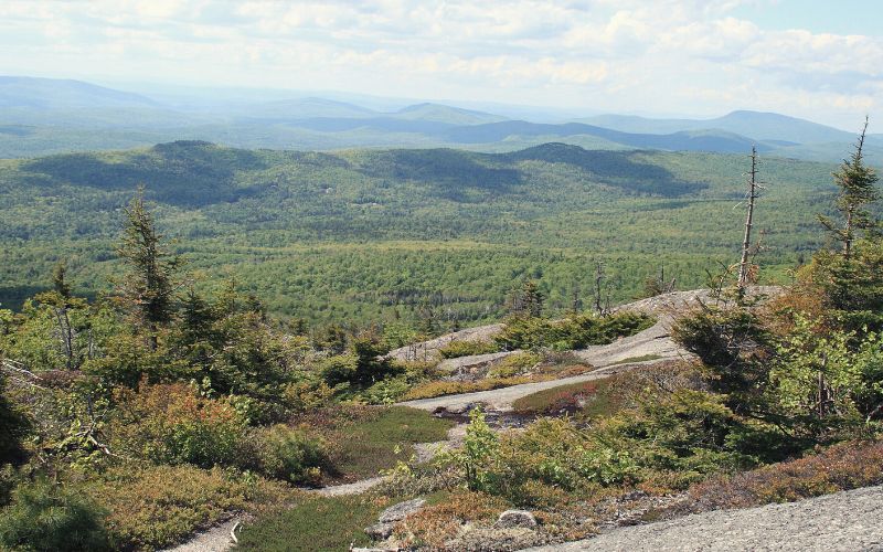 Mount Cardigan New England