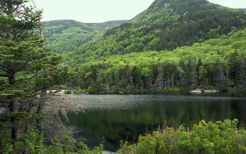 Mount Moosilauke New England