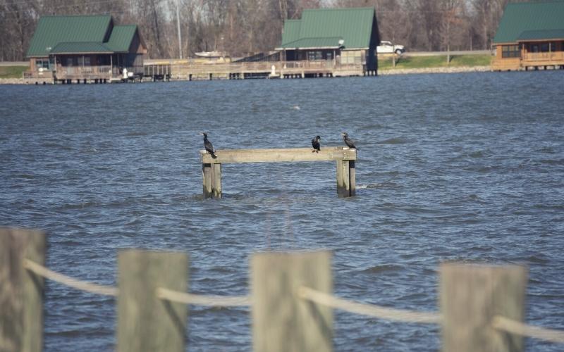 Poverty Point Reservoir State Park Louisiana