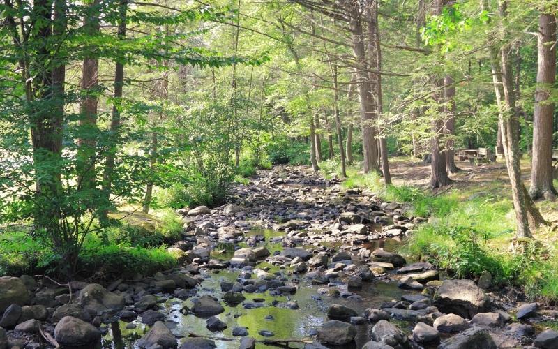 river bed in Stokes State Forest New Jersey