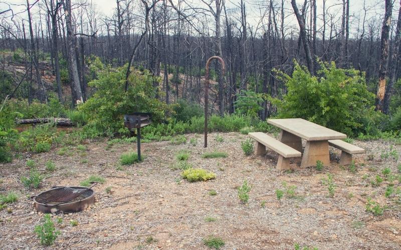 bastrop state park austin texas