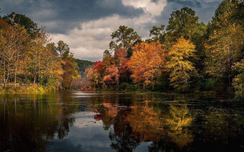 Autumn foliage reflected on Swartswood Lake, New Jersey