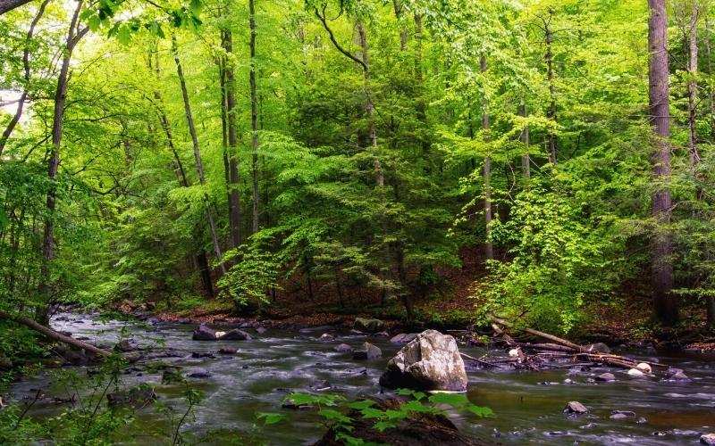 black river hacklebarney state park new jersey