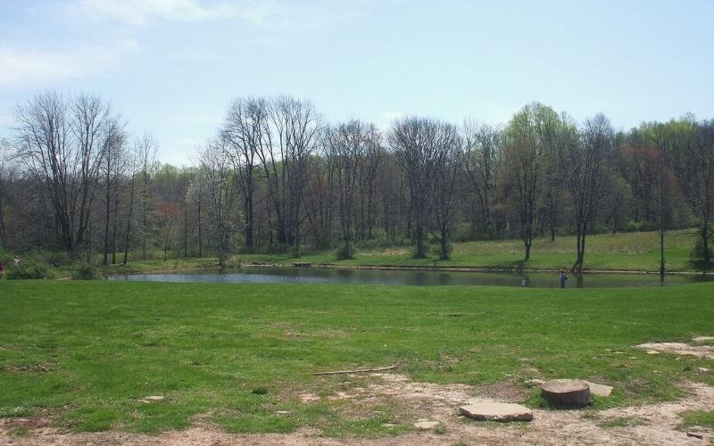 scenic view at sourland mountain new jersey